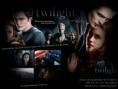 /album/photogallery/wallpaper-twilight-daan-design-twilight-movie-3115279-1800-1350-jpg/