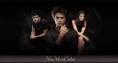 /album/photogallery/header-png/